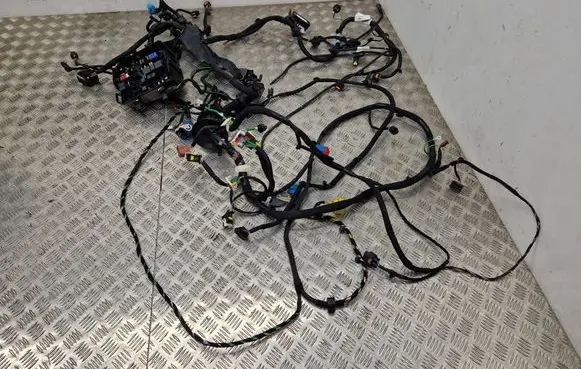 Peugeot 308 Other wiring loom 9834350280