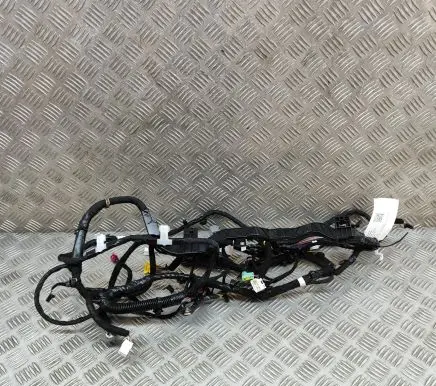 Tesla Model Y Other wiring loom 248904802B