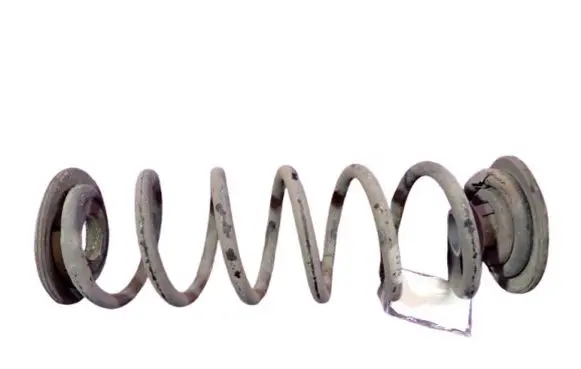 Volkswagen Golf VII Rear coil spring 