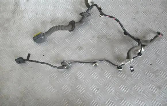 Renault Megane III Rear door wiring loom 241261979R