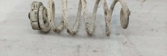 Rear coil spring