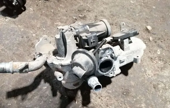 EGR valve