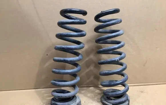 Rear coil spring