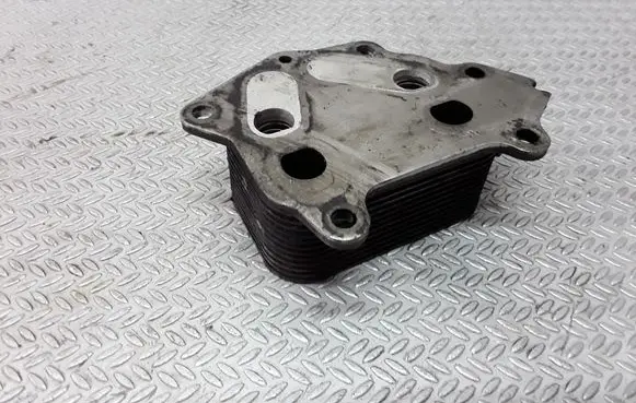 Peugeot 207 Oil filter mounting bracket