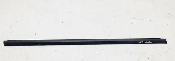 Ford Fusion Rear door glass trim molding