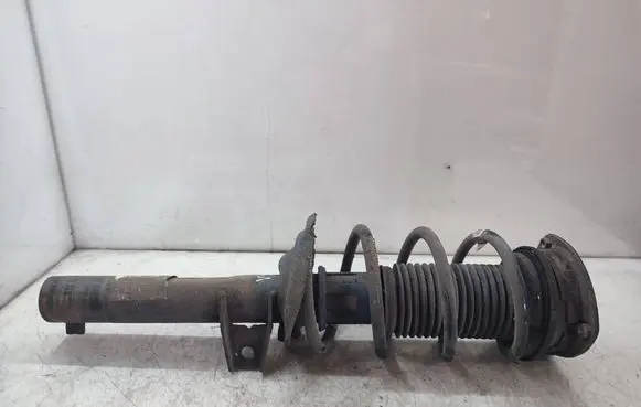 Skoda Karoq Front shock absorber with coil spring 5Q040005