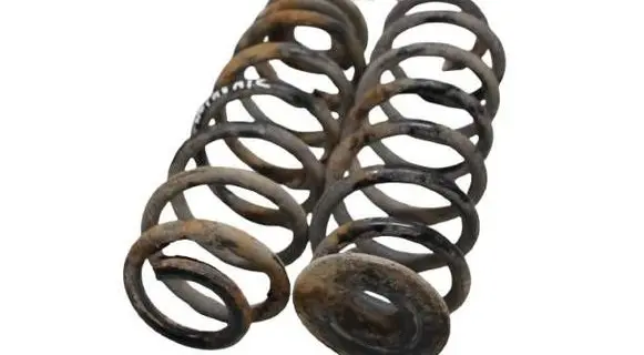 Rear coil spring