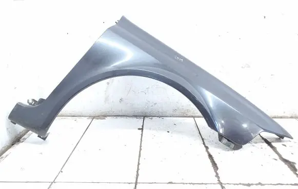 Renault Laguna II Fender