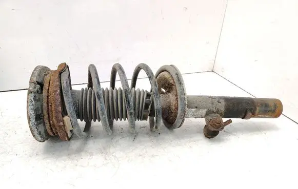 Front shock absorber with coil spring