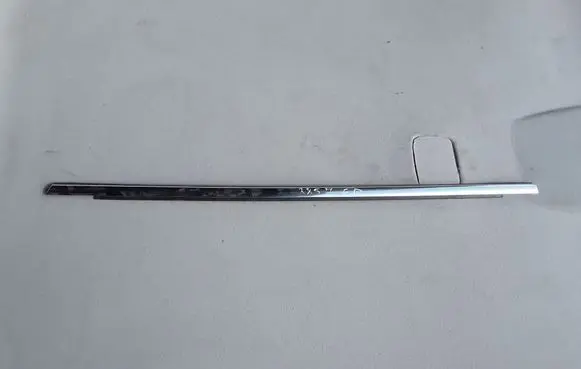 Ford Focus Rear door trim (molding)