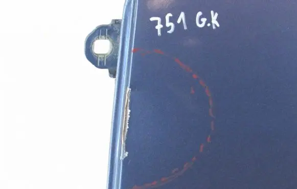 Dodge Caliber Rear door