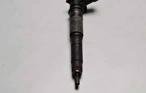 Renault Trafic II (X83) Fuel injector 0445115007 2409398 80453H8