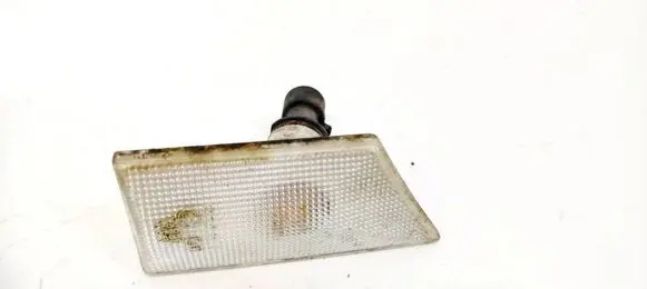 Front fender indicator light