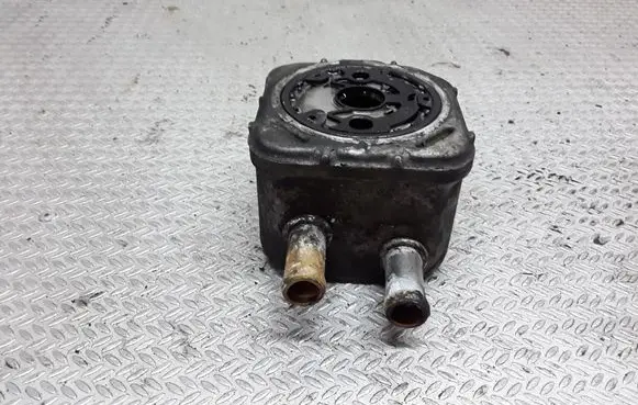 Seat Alhambra (Mk1) Oil filter mounting bracket 028117021C