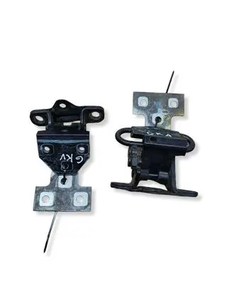 Volvo 960 Rear door hinge set 
