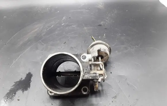 Nissan Pathfinder R51 Throttle valve RDB5051