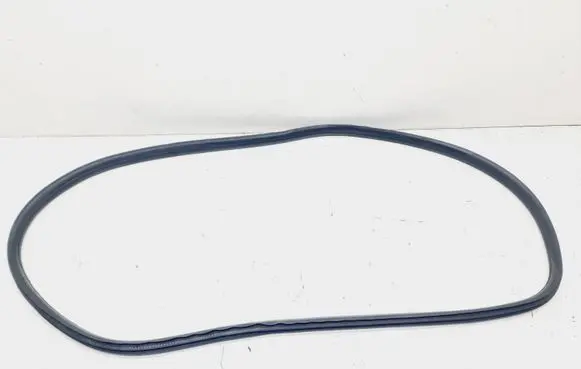 Rear door rubber seal (on body)