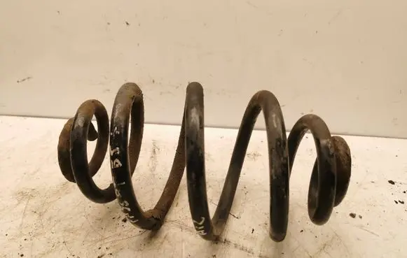 Volkswagen PASSAT B5.5 Rear coil spring