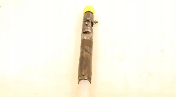 Renault Megane III Fuel injector 8200794299