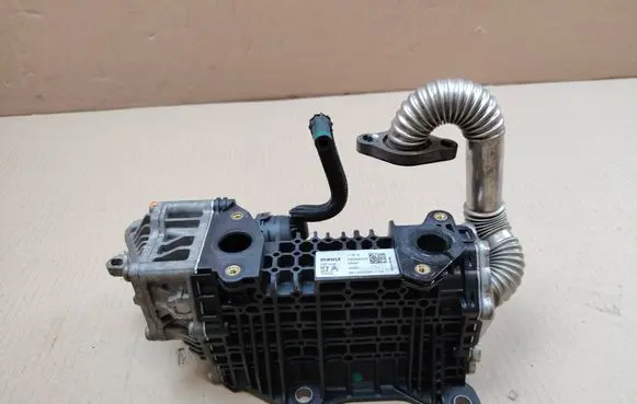 Opel Combo E EGR valve cooler 9813050280