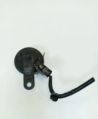 Horn signal