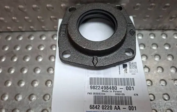 Fiat Ducato Gearbox gasket S25099411 9822498480 9632828880