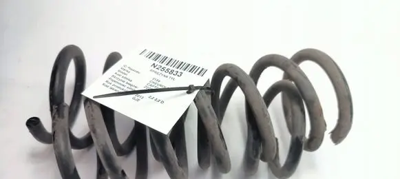 Chevrolet Captiva Rear coil spring