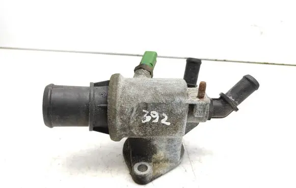 Thermostat/thermostat housing
