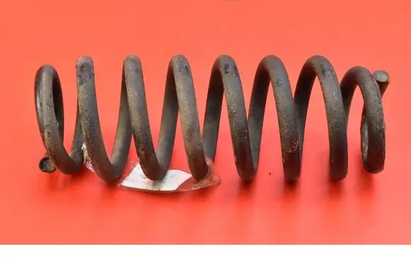 Rear coil spring
