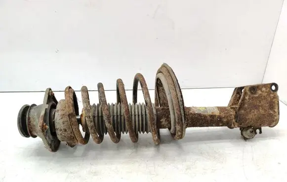 Fiat Doblo Front shock absorber with coil spring 351967070000 1967G