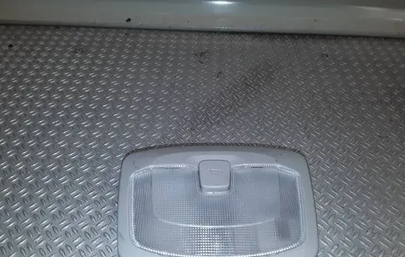 Rear seat light