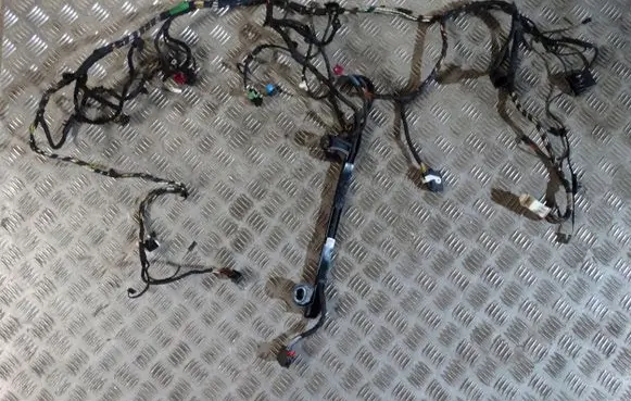 BMW X3 G01 Wiring harness 