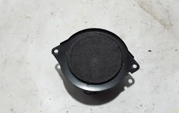 Front door high frequency speaker