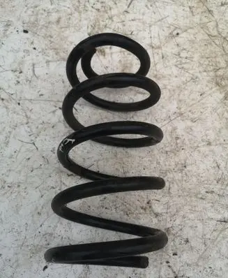 Opel Antara Rear coil spring