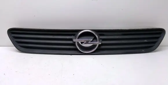 Front bumper upper radiator grill