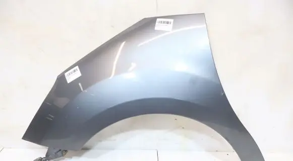 Citroen DS3 Fender 