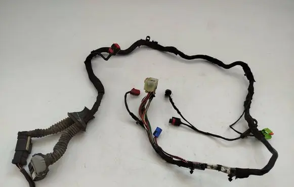 Front door wiring loom