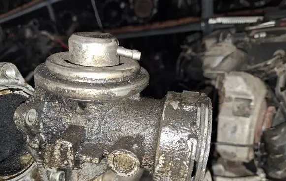 Volkswagen Sharan EGR valve 038131501j