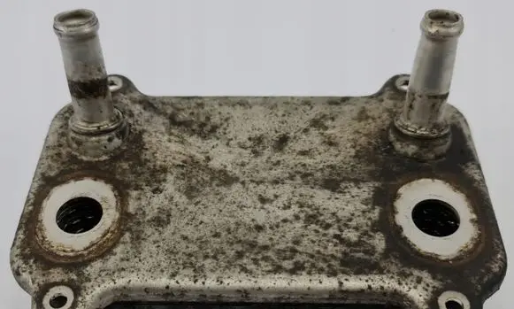 Porsche Cayenne (9PA) Engine oil radiator 6819130