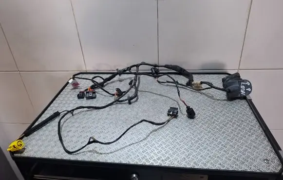 Seat Leon (5F) Front door wiring loom 1P1971121C