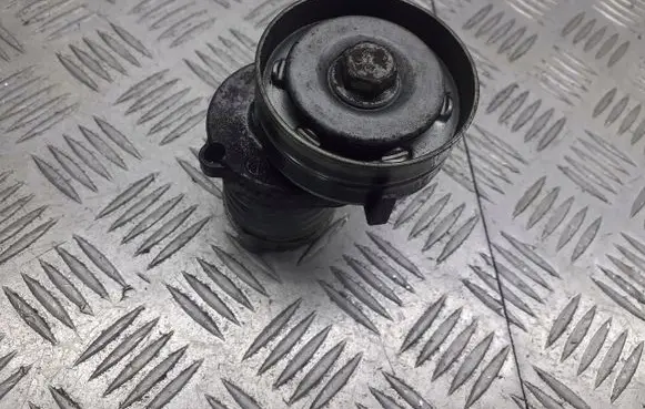 Volkswagen Golf V Alternator belt tensioner pulley 02T911023S