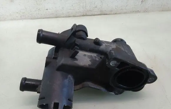 Thermostat/thermostat housing
