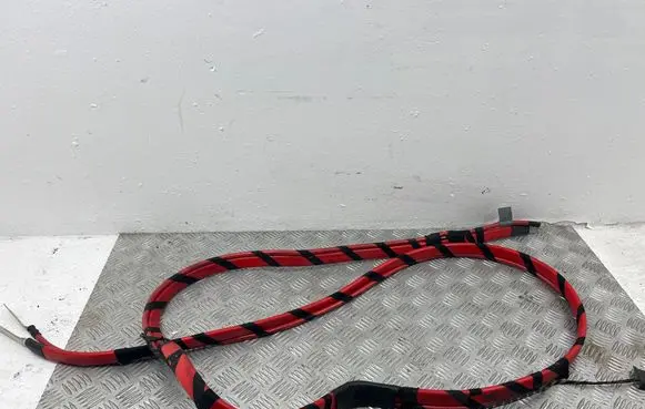 BMW 7 E65 E66 Positive cable (battery) 6926796