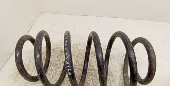 Front coil spring