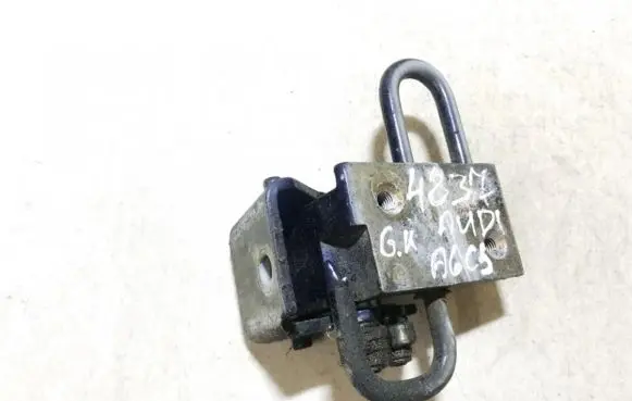Rear door lower hinge