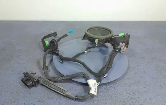 Other wiring loom