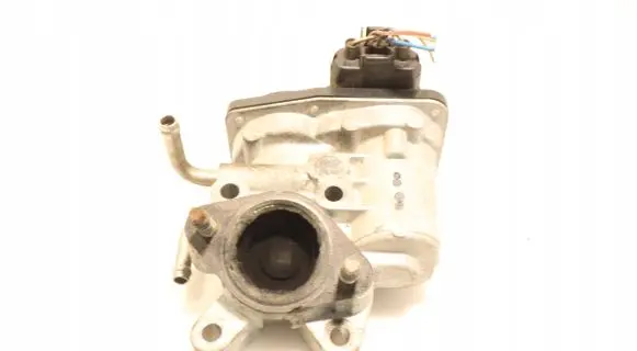 EGR valve