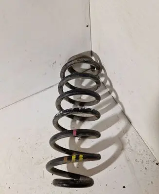 Rear coil spring