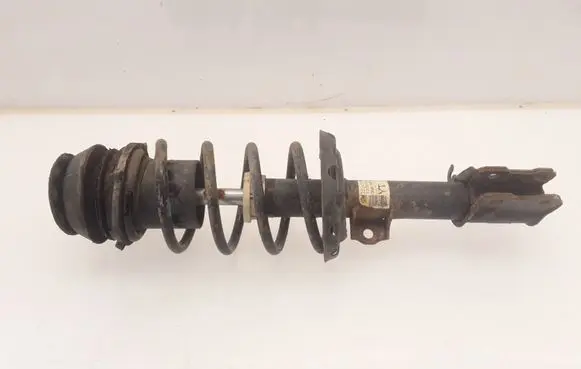Front shock absorber with coil spring