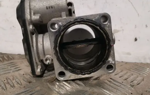 KIA Sorento Throttle valve 351002F600
